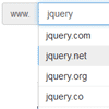 Completer : jQuery Auto Complete plugin
