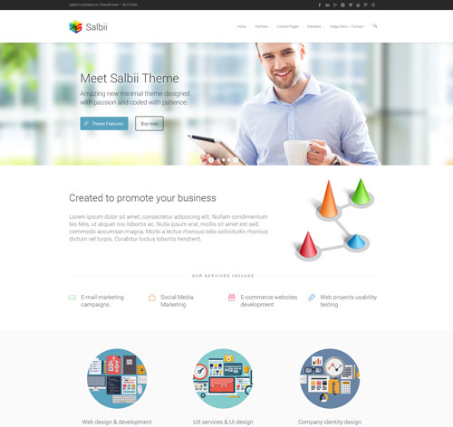 Salbii - Responsive Multi-Purpose WordPress Theme