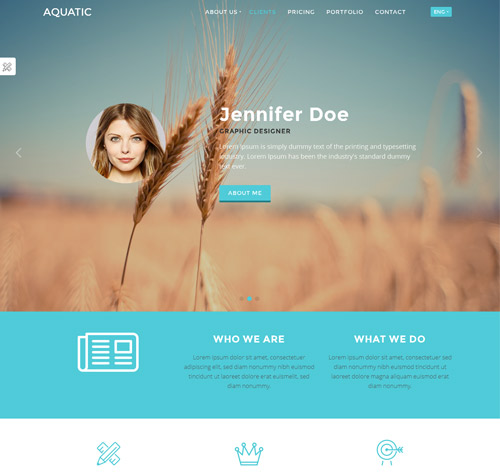 Aquatic - Responsive Creative One Page Template