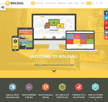 Boldial WP - Flat Creative Theme with 3D Portfolio