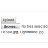 MultiFile : jQuery Multiple File Upload