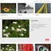 Colio - jQuery Responsive Portfolio Wordpress Plugin