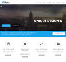 Liwo - MultiPurpose WordPress Theme