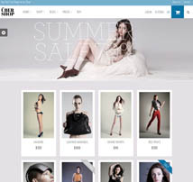 UberShop - Responsive Flat WooCommerce Theme