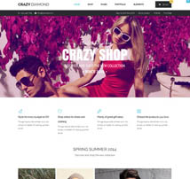 Crazy Diamond - Ecommerce & Corporate Theme