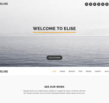 Elise - AJAX Powered One Page WordPress Theme