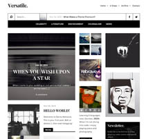 Versatile - Responsive Multi-Purpose WP Theme