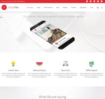 Circle Flip - Responsive Multipurpose Theme