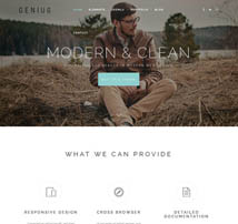 Genius - Elegant design for modern business