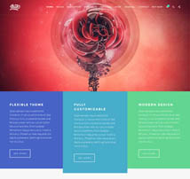 Ibuki - Creative & Shop Wordpress Theme