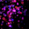 Cajal : JavaScript library to Animate shapes on HTML5 Canvas