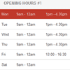 OpenHours : jQuery plugin to Highlight your opening/closing hours