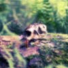jQuery Opacity by Mouse Location