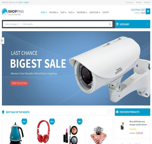 Shopping WooCommerce Responsive WordPress Theme