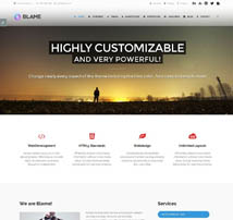 Blame - Responsive MultiPurpose WordPress Theme