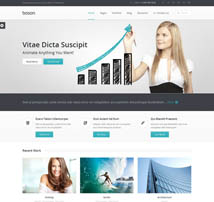 Boson MultiPurpose WordPress Responsive Theme