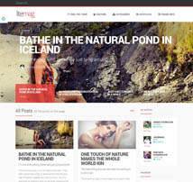 LiteMag - Easy to use Minimalist Magazine Theme