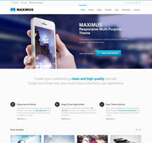 Maximus - Multipurpose Business Template
