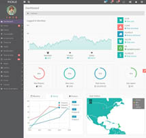Fickle - Responsive Admin Template
