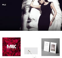 PILE - An Uncoventional WordPress Portfolio Theme