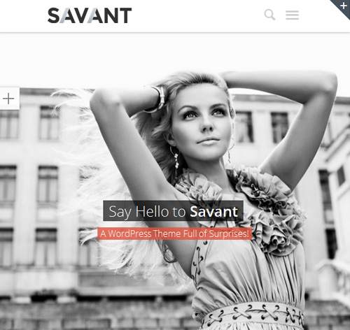 Savant - Responsive Multi-Purpose WordPress Theme