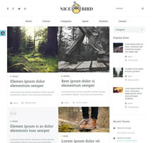 NiceBird | Blog and Newspaper Wordpress Theme
