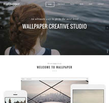 Wallpaper - Multi-Purpose Wordpress Theme