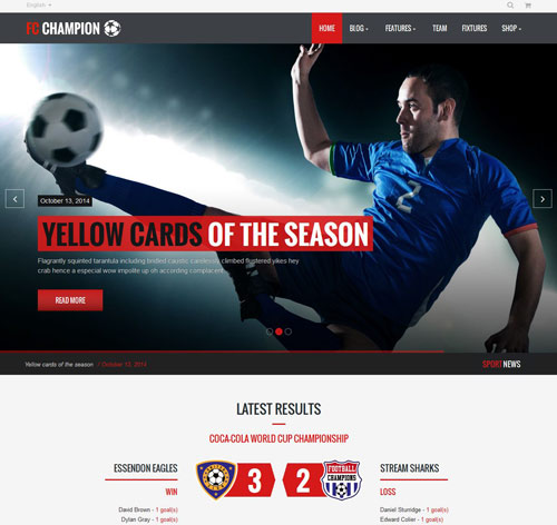 ampion - Soccer & Football WordPress Theme