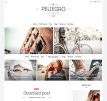 Peliegro - Clean Personal WordPress Blog Theme
