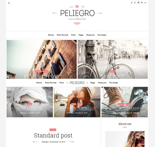 Peliegro - Clean Personal WordPress Blog Theme