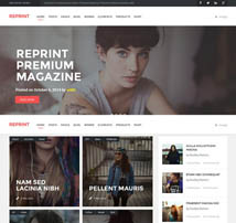 REPRINT | Magazine MultiPurpose WordPress Theme
