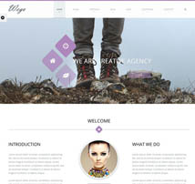 Wego - Business Premium Drupal Theme