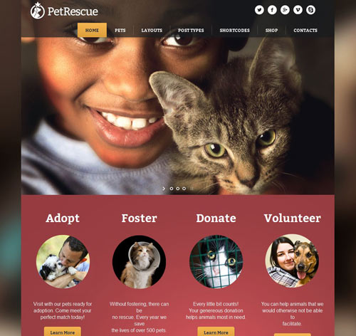 Pet Rescue - Animals & Shelter Charity WP Theme