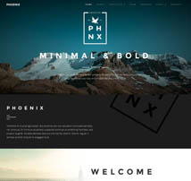 Phoenix - Minimal Multipurpose Portfolio Themes