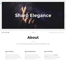 Pond - Creative Portfolio / Agency WordPress Theme