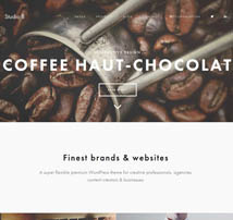 Studio 8 - A Flexible WordPress Portfolio