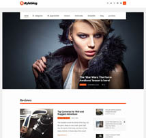 StyleBlog - Modern Personal, News WordPress Theme