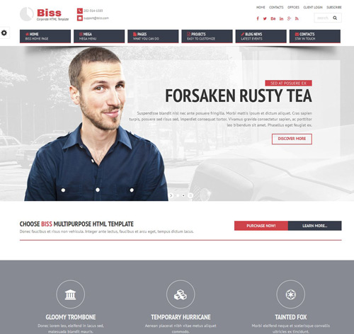 Biss Corporate HTML Themplate