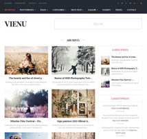 Vienu - Blog/Magazine Responsive WordPress Theme