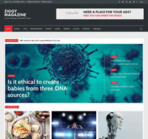 Ziggy - Professional Blog/Magazine WordPress Theme
