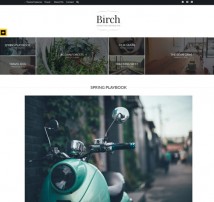 Birch - Sophisticated Personal Blogging