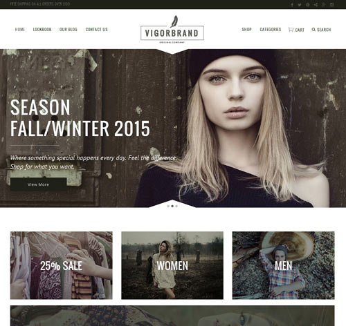 Vigor - A Fresh Multi-Concept Theme