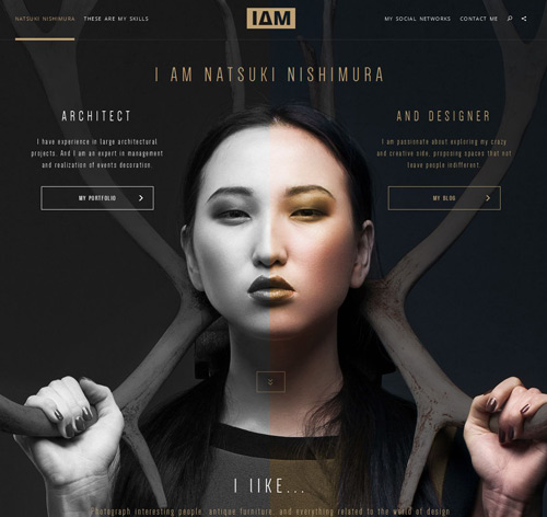 Themesy - Responsive Multi-Purpose WordPress Theme