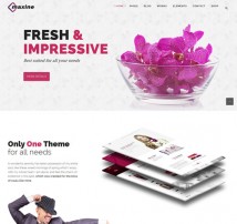 Maxine - Multi Concept Wordpress Theme