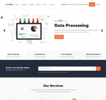NRGHost - Hosting, Tech & Service Provider Theme
