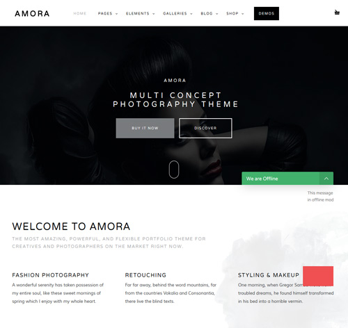 Amora - Creative Responsive Multi-Concept Theme