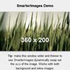 SmarterImages : jQuery Dynamic Image Replacement Plugin