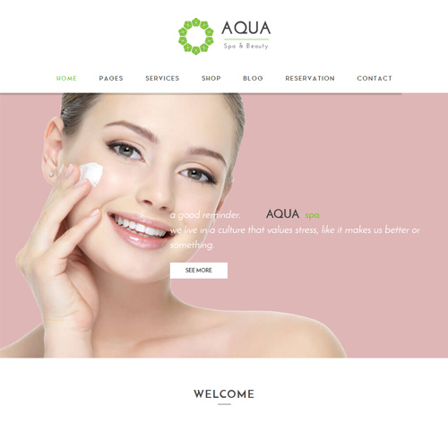 Aqua - Spa and Beauty Responsive WooCommerce WordPress Theme