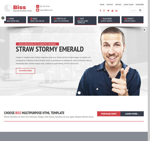 Biss - Corporate Multipurpose WordPress Theme