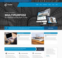 Divine - Professional Business Drupal Theme